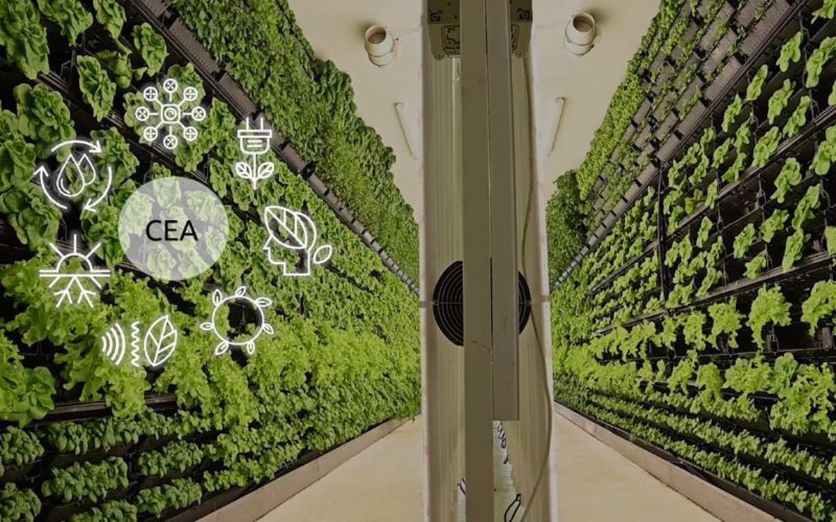 Controlled-Environment Agriculture